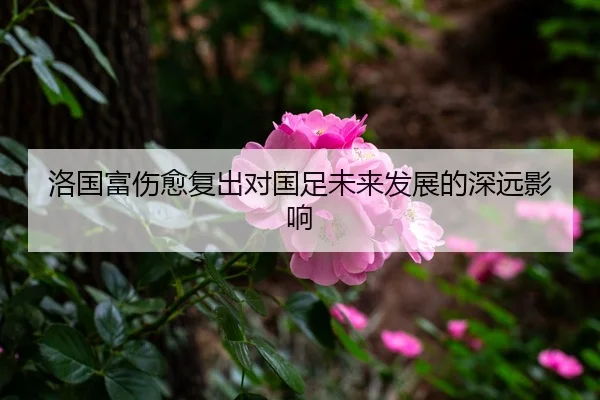 洛国富伤愈复出对国足未来发展的深远影响