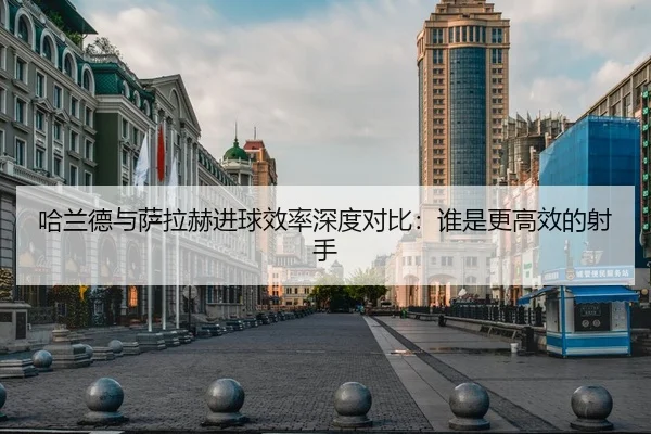 哈兰德与萨拉赫进球效率深度对比：谁是更高效的射手